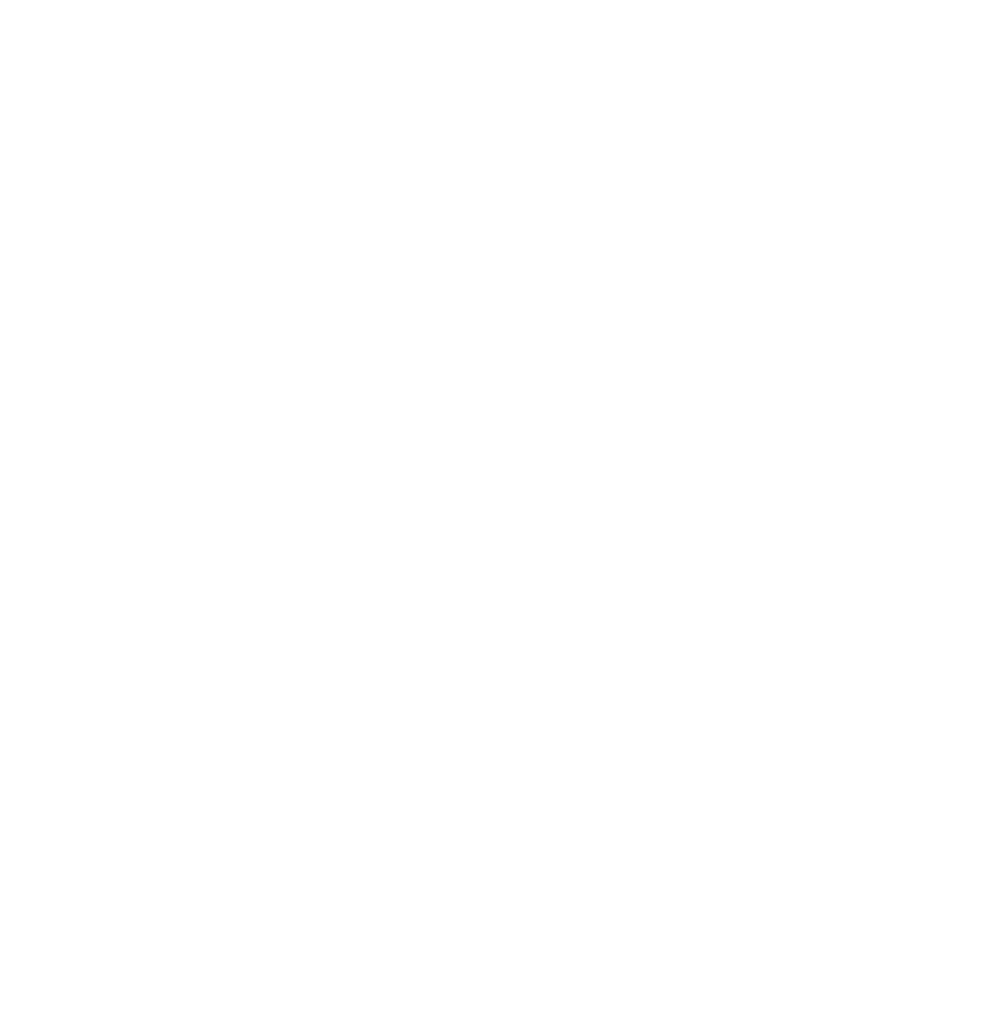 Tulum VIP Agency