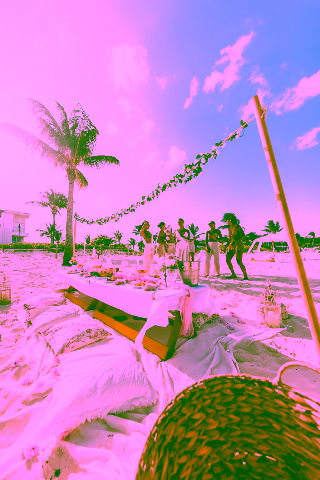 Experiencia privada en la playa con chef en Tulum 9